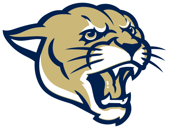 NEWNAN HIGH SCHOOL Logo