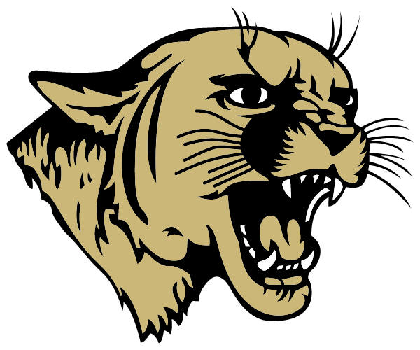 DELL CITY HIGH SCHOOL Logo