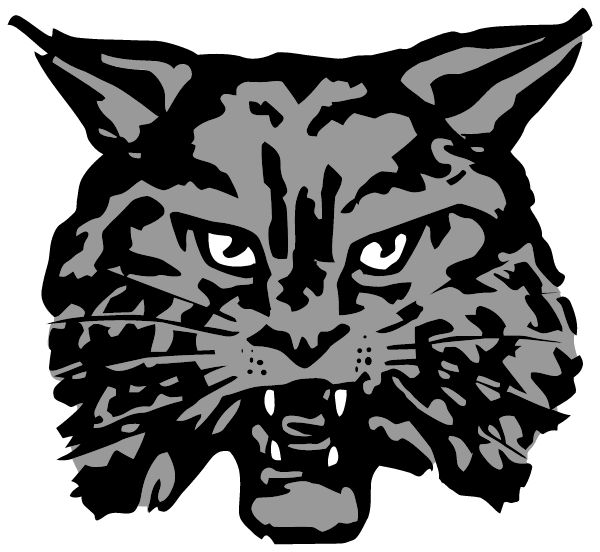 OAKLAND HIGH SCHOOL Sideline Store Wildcats (OAKLAND, CALIFORNIA) Spirit Apparel & Accessories Store