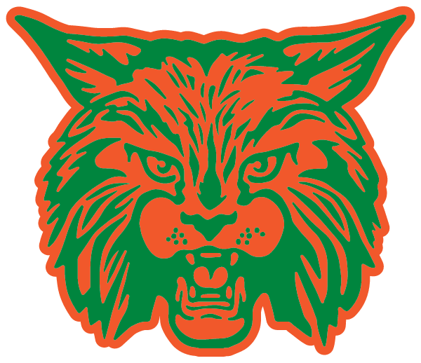WILKINSON COUNTY HIGH SCHOOL Logo