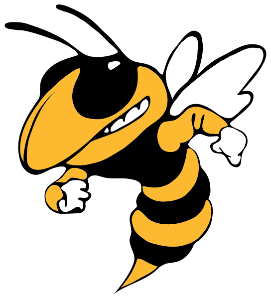 DENISON HIGH SCHOOL Logo
