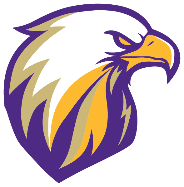DUANESBURG CENTRAL HIGH SCHOOL Logo