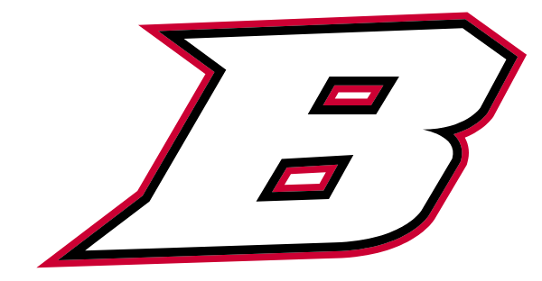 BASILE HIGH SCHOOL Logo