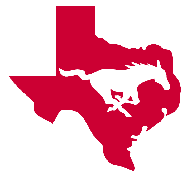 DENVER CITY HIGH SCHOOL Logo