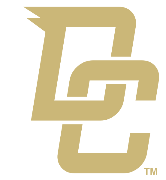 Decatur Central High School Logo