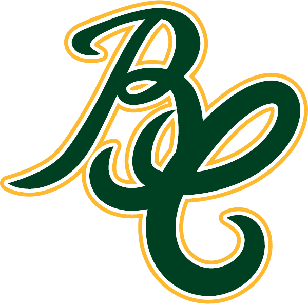 BESSEMER CITY HIGH SCHOOL Logo
