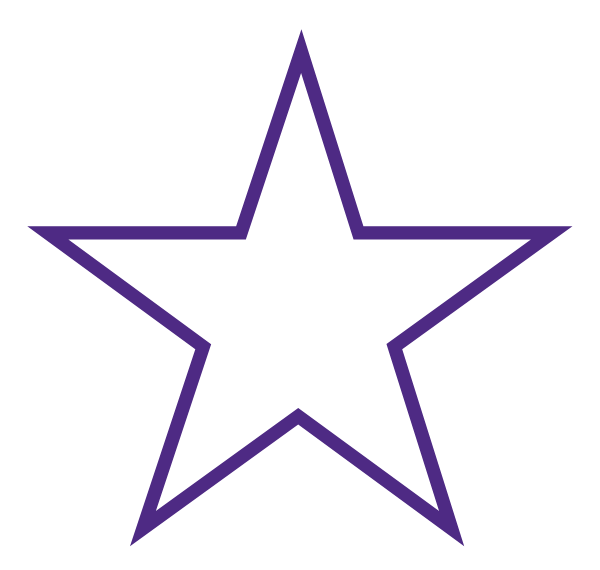 BOTTINEAU HIGH SCHOOL Logo