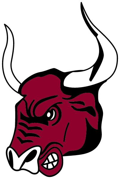McCutcheon High School Logo