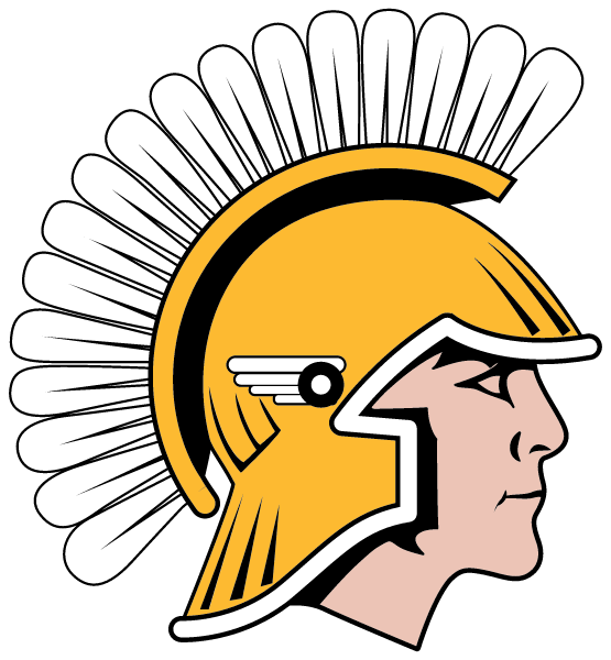 NEW AUBURN HIGH SCHOOL Logo