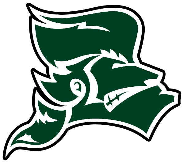 MOUNT VERNON HIGH SCHOOL Logo