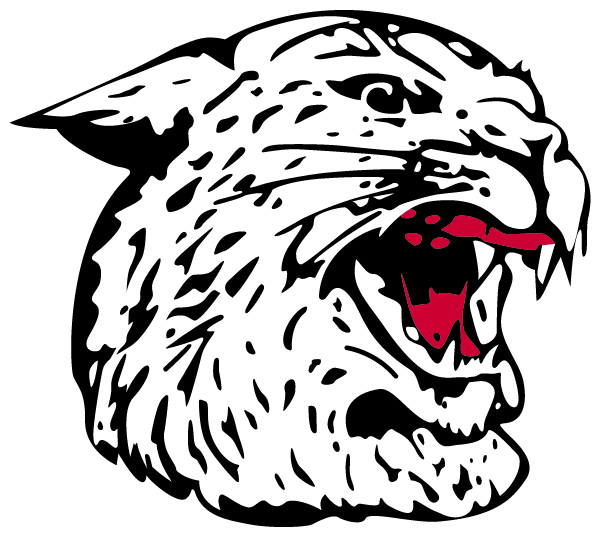 NORTHERN HEIGHTS HIGH SCHOOL Logo