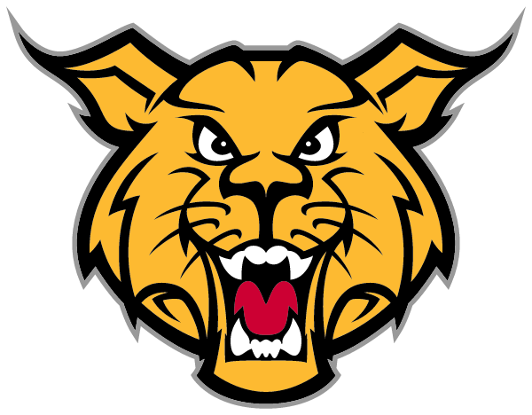 EDINBURG HIGH SCHOOL Logo