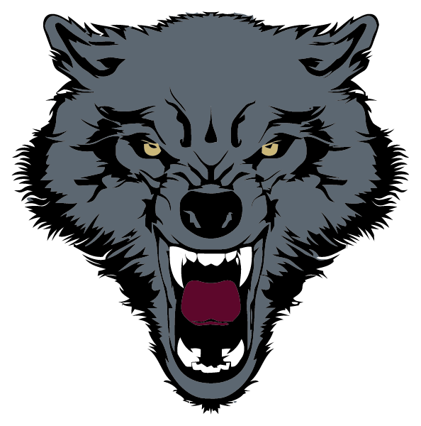 DILLEY EARLY COLLEGE HIGH SCHOOL Logo