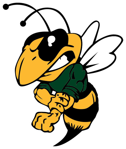ENOSBURG FALLS HIGH SCHOOL Logo
