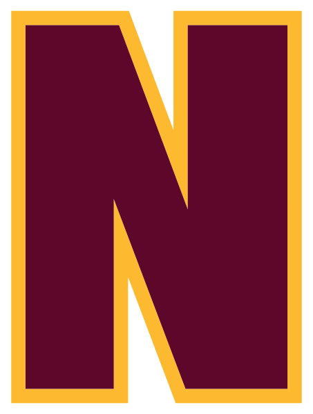 NEELYVILLE HIGH SCHOOL Logo