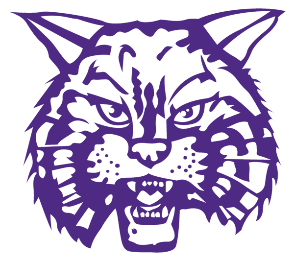 DIMMITT HIGH SCHOOL Logo