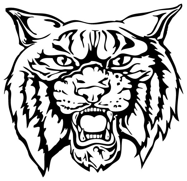 RISON HIGH SCHOOL Sideline Store Wildcats (RISON, Arkansas) Spirit Apparel & Accessories Store