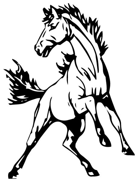 NORTH MOORE HIGH SCHOOL Sideline Store Mustangs (ROBBINS, NORTH CAROLINA) Spirit Apparel & Accessories Store