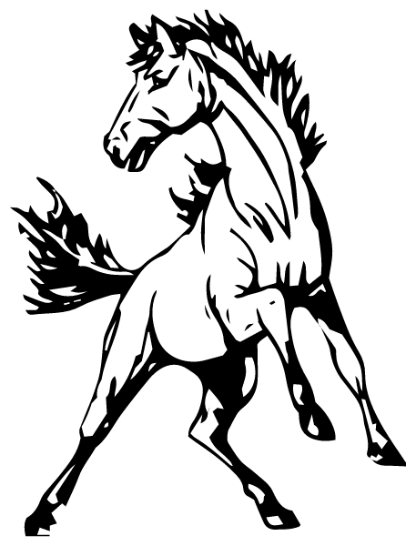 NORTH MOORE HIGH SCHOOL Logo
