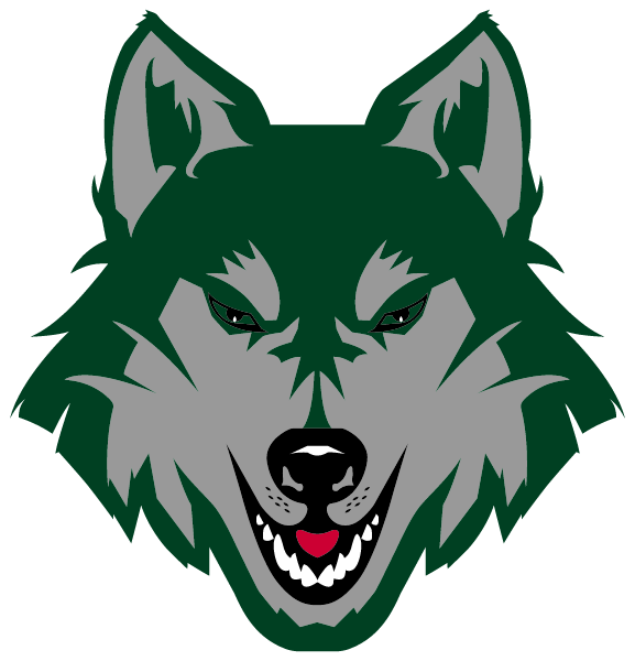 NEWBURG HIGH SCHOOL Logo