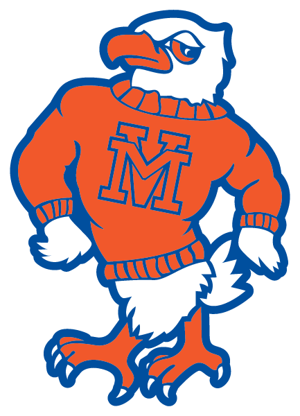 MOUNTAIN VIEW HIGH SCHOOL Logo
