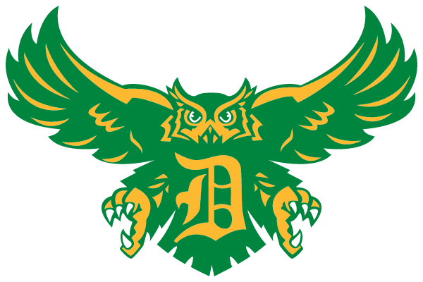 DUNDALK HIGH SCHOOL Logo
