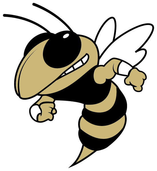 NEW IBERIA SENIOR HIGH SCHOOL Logo