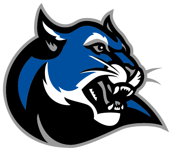 BLUE MOUNTAIN HIGH SCHOOL Logo