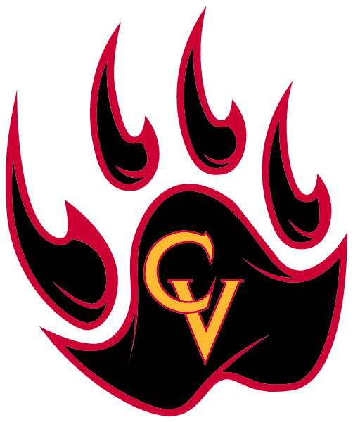 CASTLE VIEW HIGH SCHOOL Logo