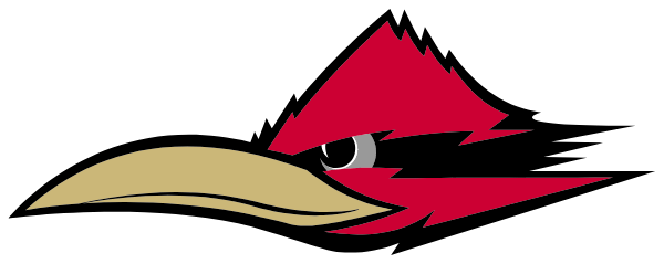 SOUTHEAST CAREER TECH ACADEMY Logo