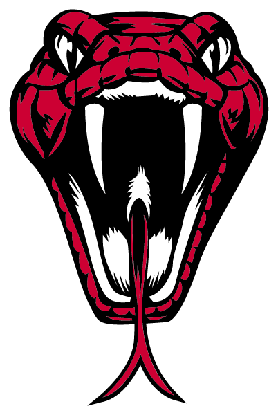 SAN MIGUEL HIGH SCHOOL Logo