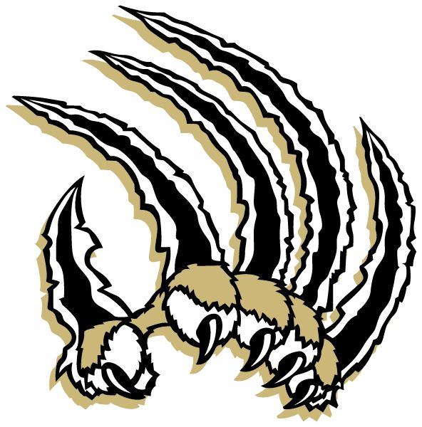LAKEWOOD HIGH SCHOOL Sideline Store Leopards (SALEMBURG, NORTH CAROLINA) Spirit Apparel & Accessories Store