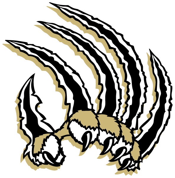 LAKEWOOD HIGH SCHOOL Logo