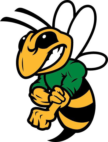DALLAS COUNTY HIGH SCHOOL Logo