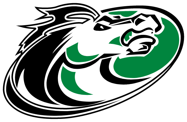 SOUTH RIDGE HIGH SCHOOL Logo