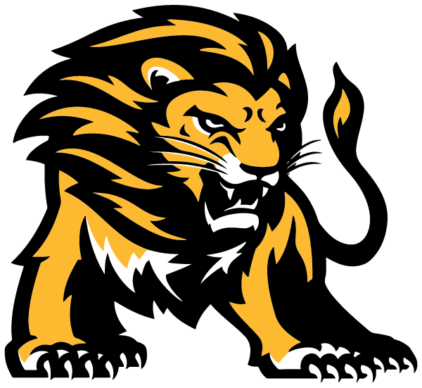 SALEM HIGH SCHOOL Logo