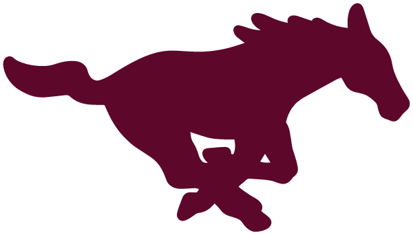 MOUNT VERNON HIGH SCHOOL Logo