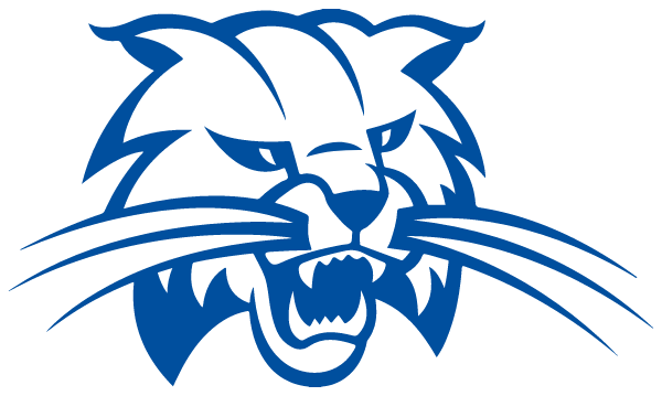 WOODBURY CENTRAL HIGH SCHOOL Logo