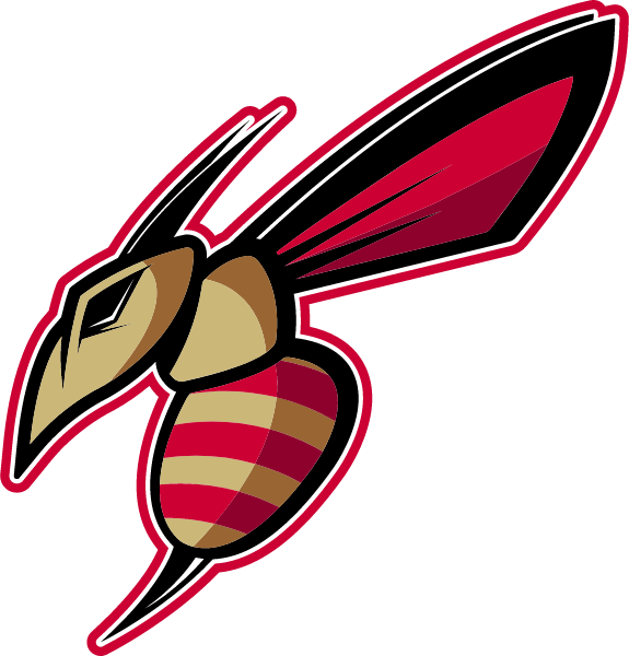 SALISBURY HIGH SCHOOL Logo