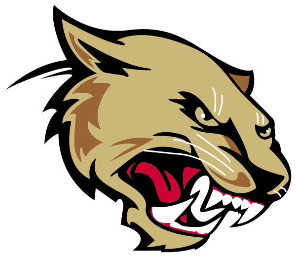 AUSTIN HIGH SCHOOL Logo