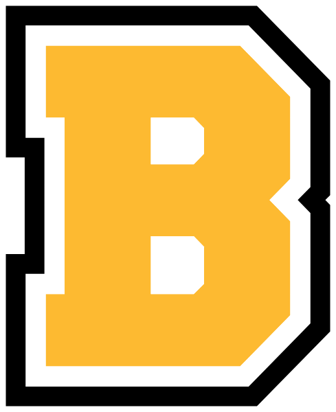 BEREA COMMUNITY HIGH SCHOOL Logo