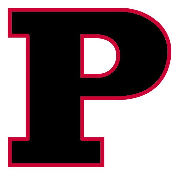 PALMETTO HIGH SCHOOL Logo