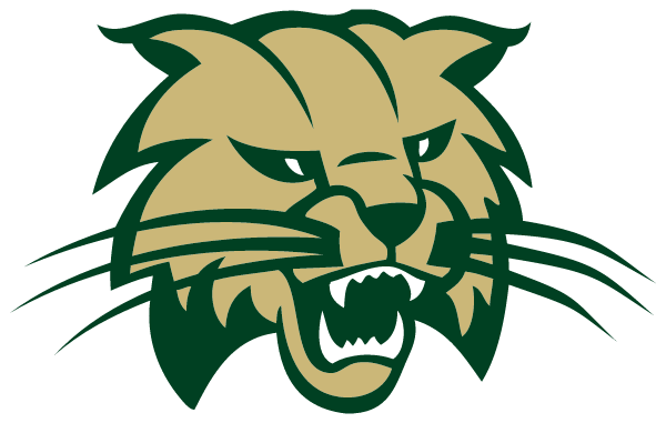 NORTHERN ADIRONDACK CENTRAL Logo