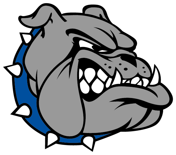 STRONG HIGH SCHOOL Logo