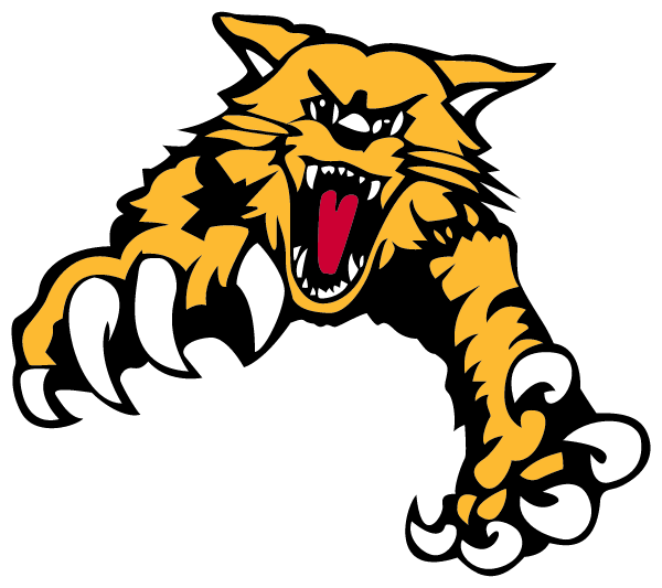 SHELBY VALLEY HIGH SCHOOL Logo