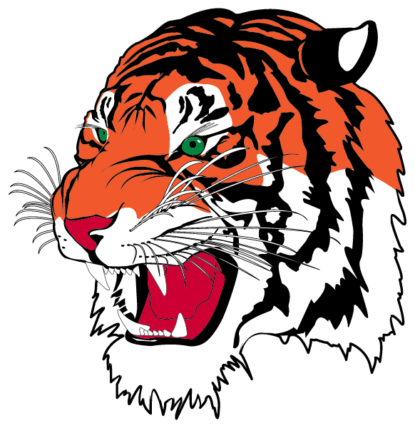 ANSONIA HIGH SCHOOL Logo