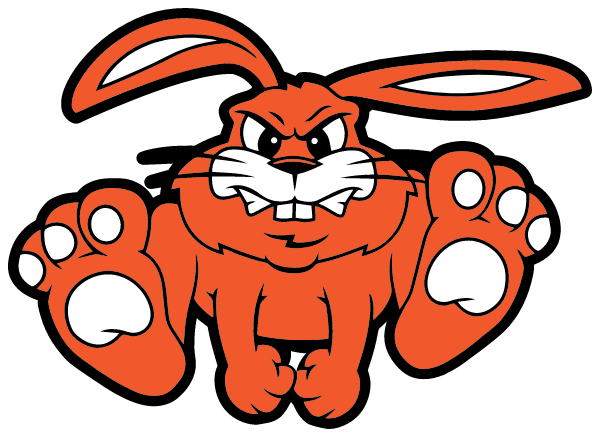 FISHER HIGH SCHOOL Logo