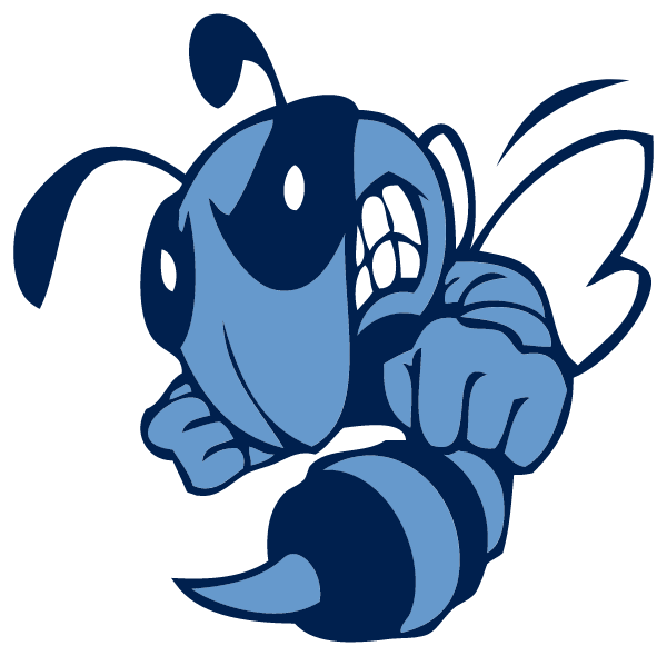 AYNOR HIGH SCHOOL Logo