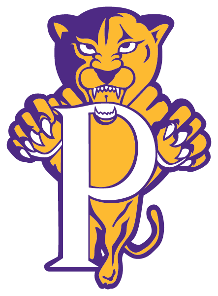 PITTSVILLE HIGH SCHOOL Logo