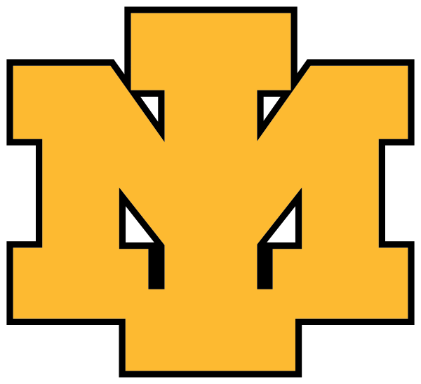 IRON MOUNTAIN HIGH SCHOOL Logo